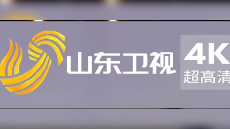 全国卫视在线观看好趣网缩略图