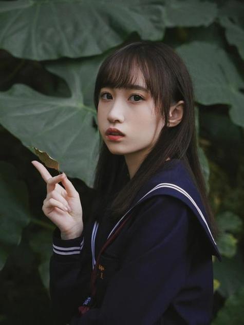 小白花浇灌日常by穆以冬TXT百度云图标