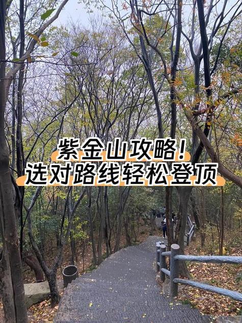 紫金最新消息今天缩略图