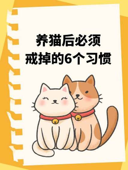 养猫女孩十大坏处缩略图