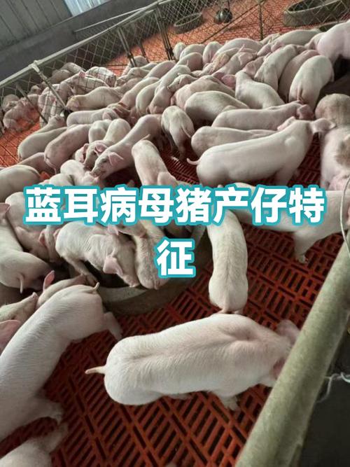 蓝牙耳机一只忽然不响了