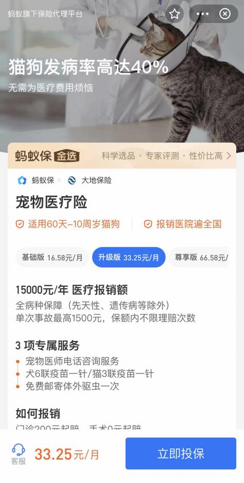 蚂蚁平台接单可靠吗游戏截图