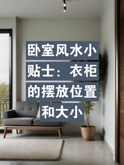 富贵竹放卧室大忌游戏截图