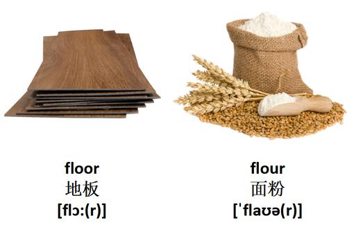 面粉英语flour