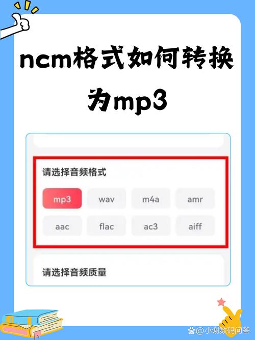 ncm转mp3免费缩略图