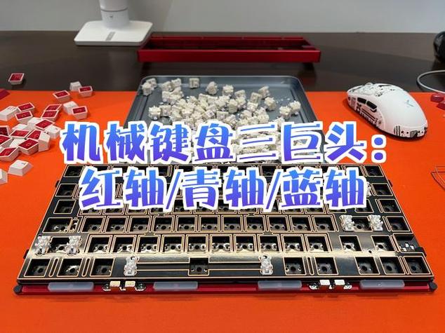 蓝轴是青轴吗