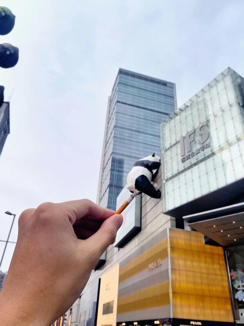 绿萝为啥不能家里爬墙