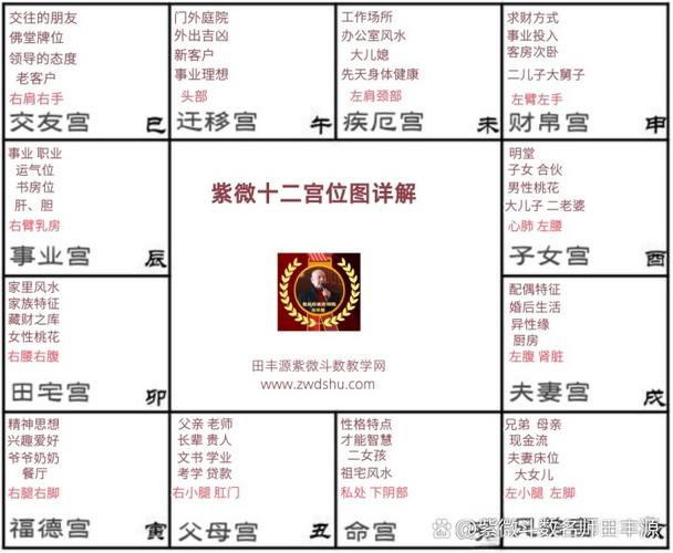 紫微斗数命盘免费排盘游戏截图