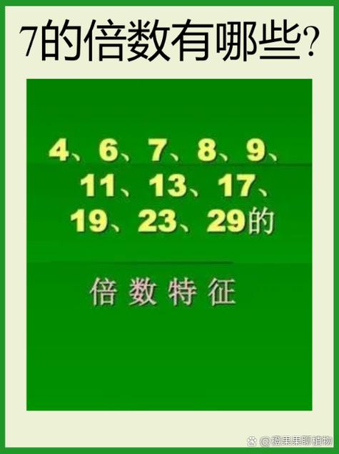 9177游戏盒子缩略图