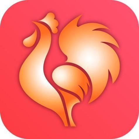 808大公鸡七星彩缩略图