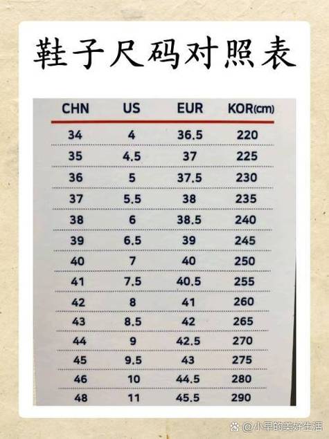 鞋码尺寸对照表 标准游戏截图