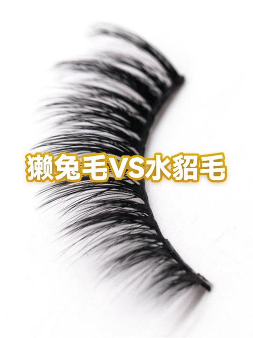 女人穿獭兔还是貂好
