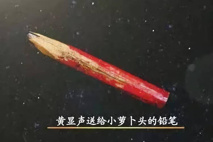 萝卜头抓隐藏异色,沼泽和牛