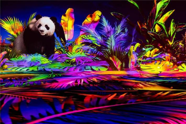 熊猫玩家缩略图