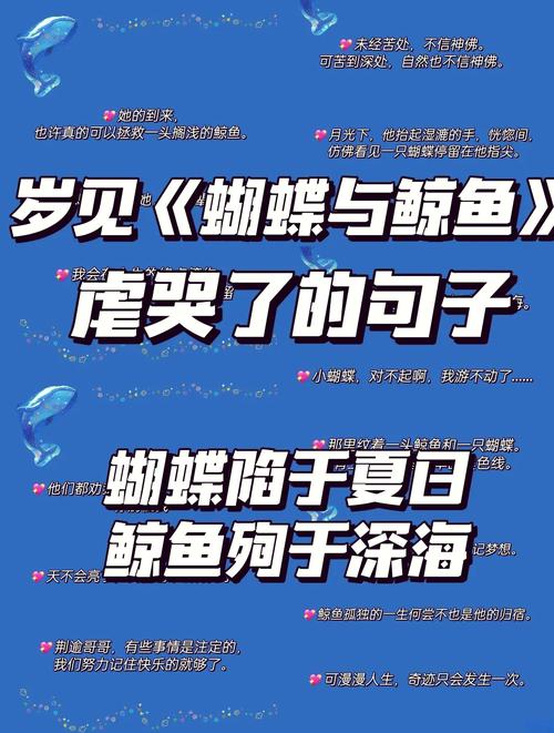撩鲸全文免费阅读游戏截图