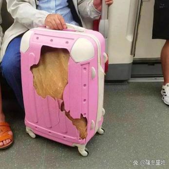 地铁箱子爆率修改器游戏截图