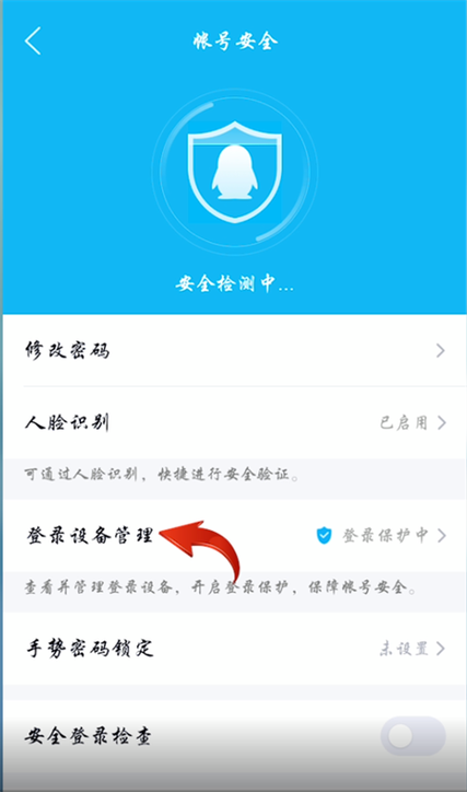 支付宝怎么看登录设备管理