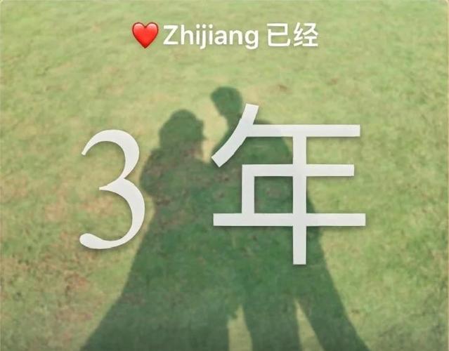 《两年半》在线观看免费游戏截图