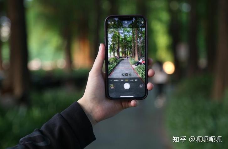 苹果手机拍出来的照片是横着的缩略图