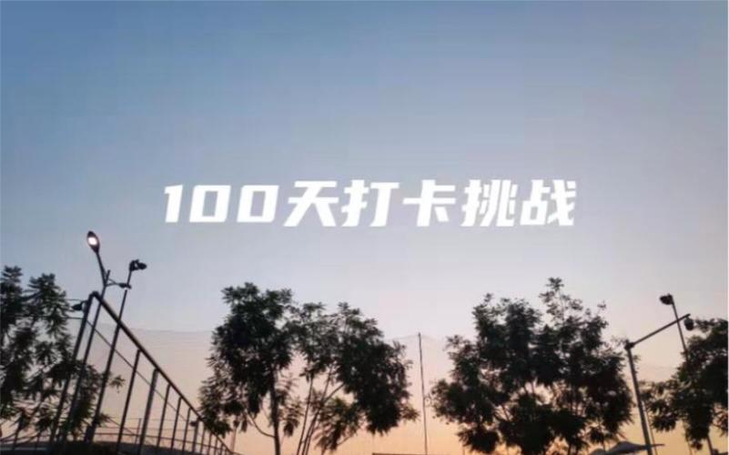 b站全能打卡挑战