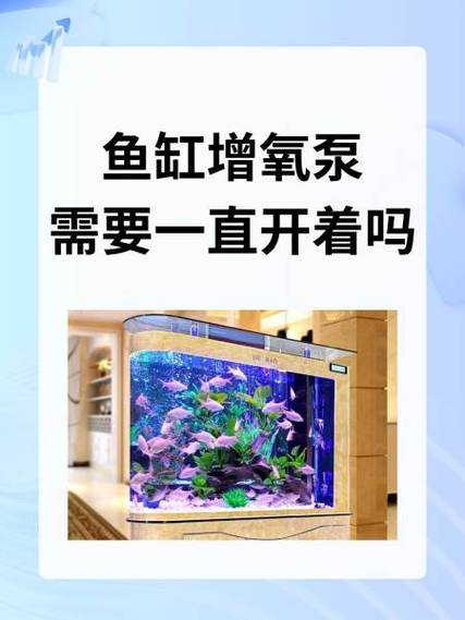 鱼缸增氧泵不增氧是什么原因图标