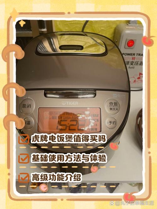 日本老虎牌电饭煲使用说明游戏截图
