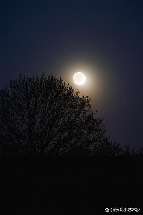 夜间风景图片游戏截图