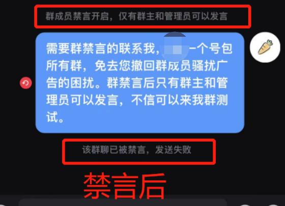 qq群怎么取消禁言单个成员