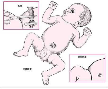 小孩爱流鼻血怎么回事