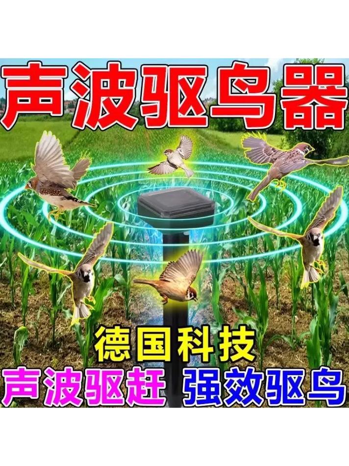 幼鸟嘴巴一张一合呼吸微弱