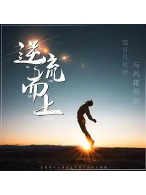 逆流而上(妈妈律师)小说