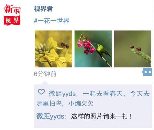 怎么设置显示三天的朋友圈