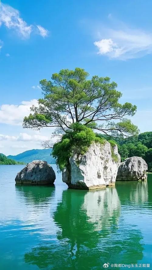 让对方看到心疼的图片游戏截图
