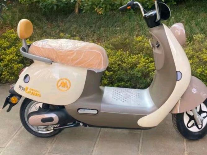 爱玛电瓶5块60v价格图标