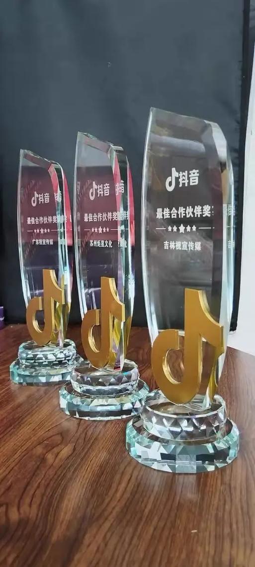 抖聘是哪个公司的产品缩略图