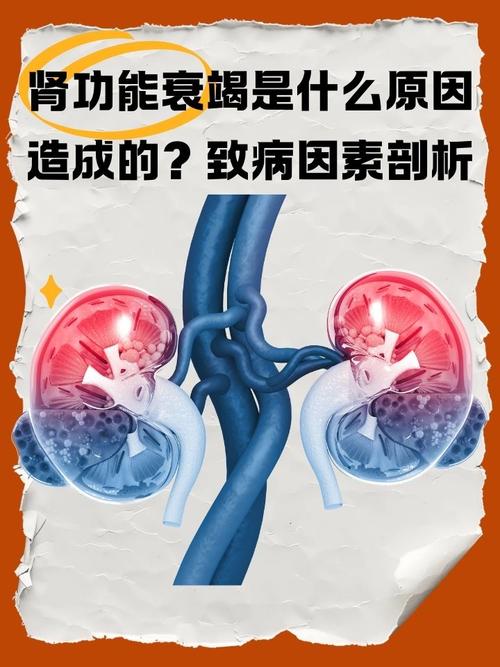 肾功能衰竭死因链