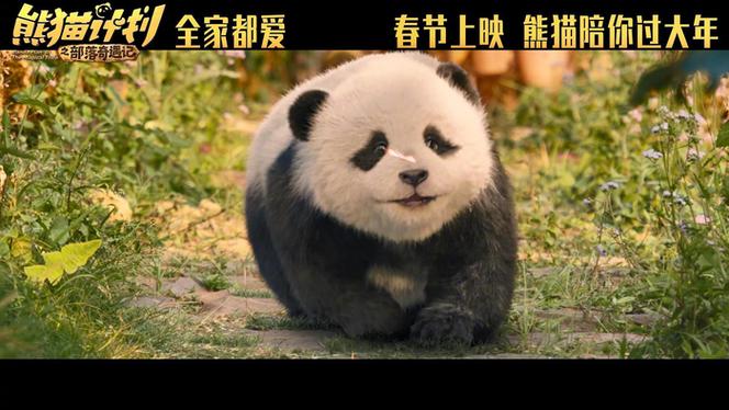 熊猫国语电影优酷缩略图