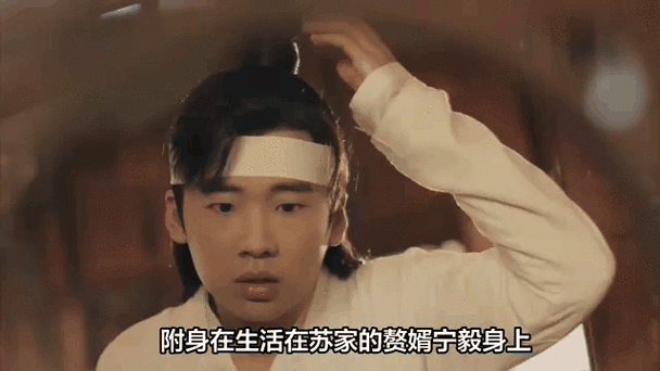 赘婿4个穿越者都谁