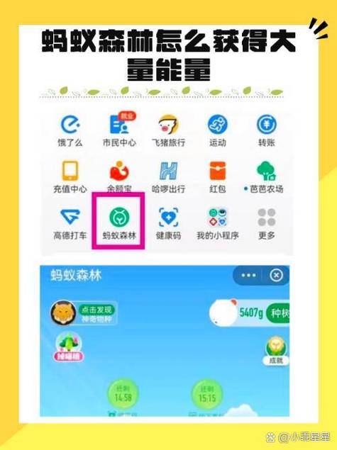 支付宝看电影多少能量