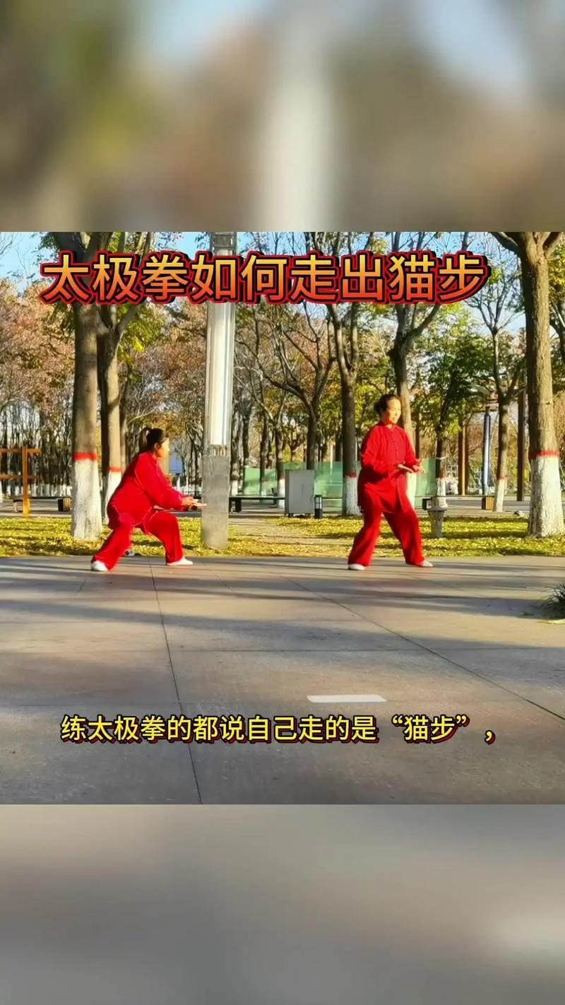 猫步运动赚钱缩略图