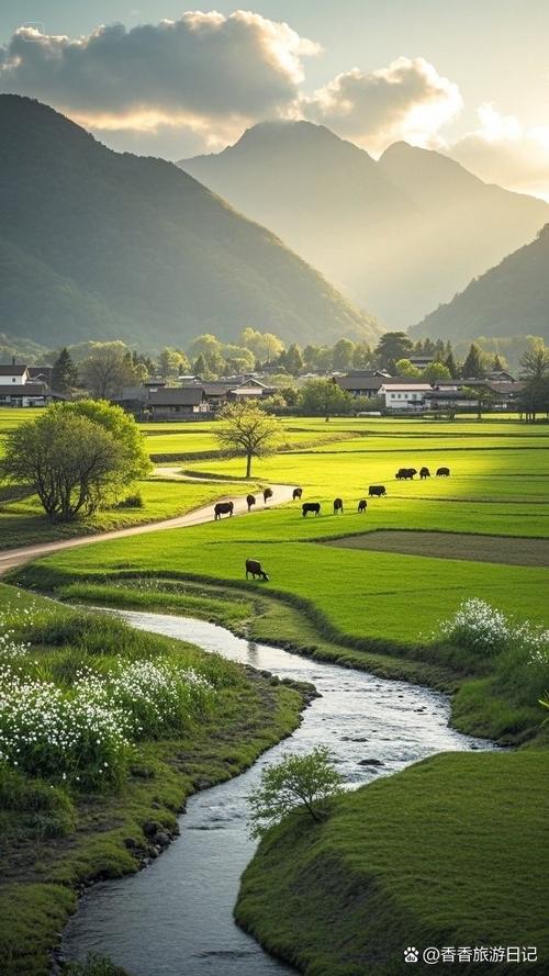 悠闲乡村生活缩略图