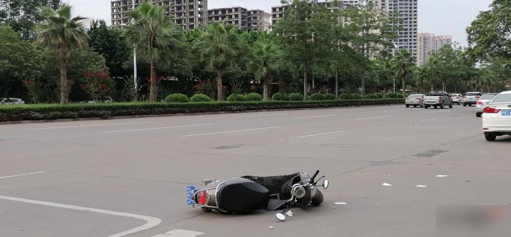 电动车倒退走是什么原因游戏截图