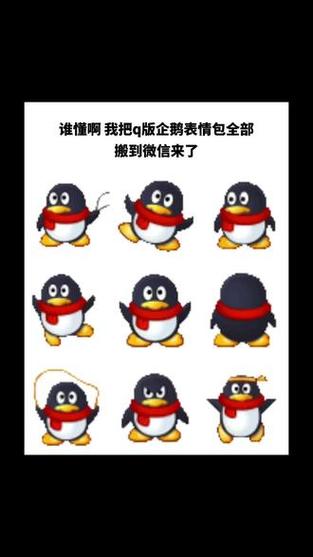 企鹅表情是什么意思缩略图