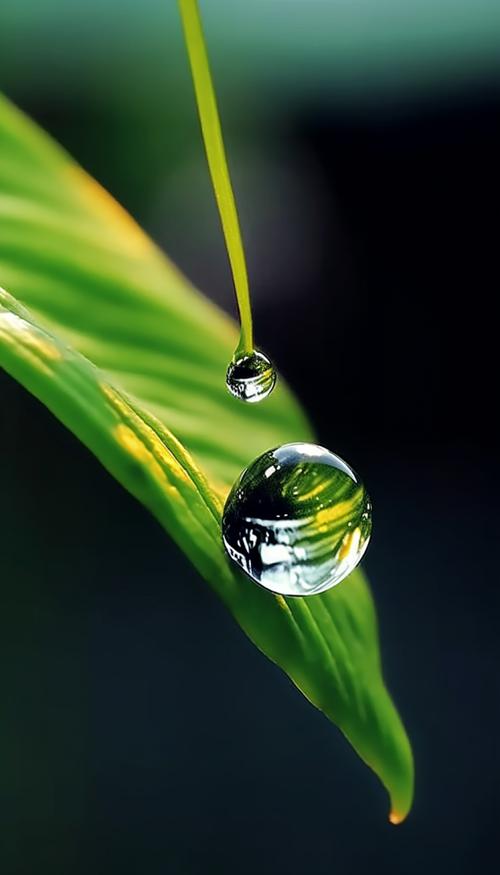 雨滴桌面怎么用缩略图