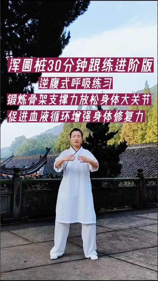 20分钟口令站桩视频游戏截图