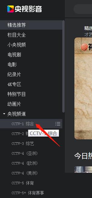 安装央视影音TV版的步骤
