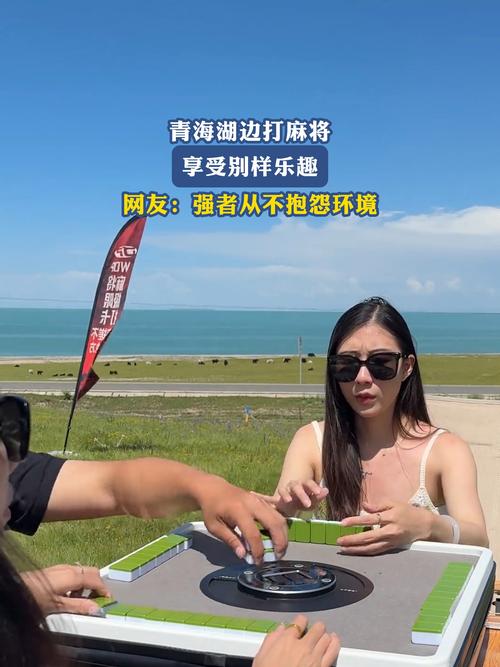 挖坑青海麻将App下载缩略图