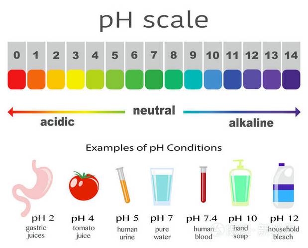 ph值7.2是酸性还是碱性缩略图