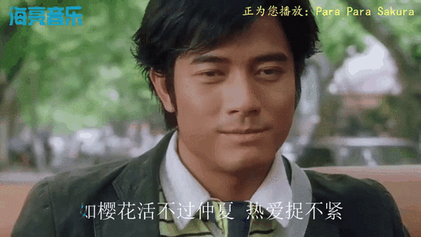 浪漫樱花歌曲原唱视频游戏截图