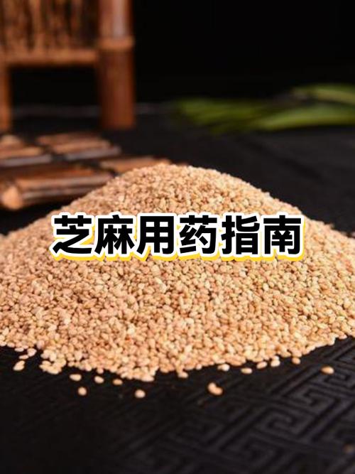 支付宝芝麻粒如何获得游戏截图